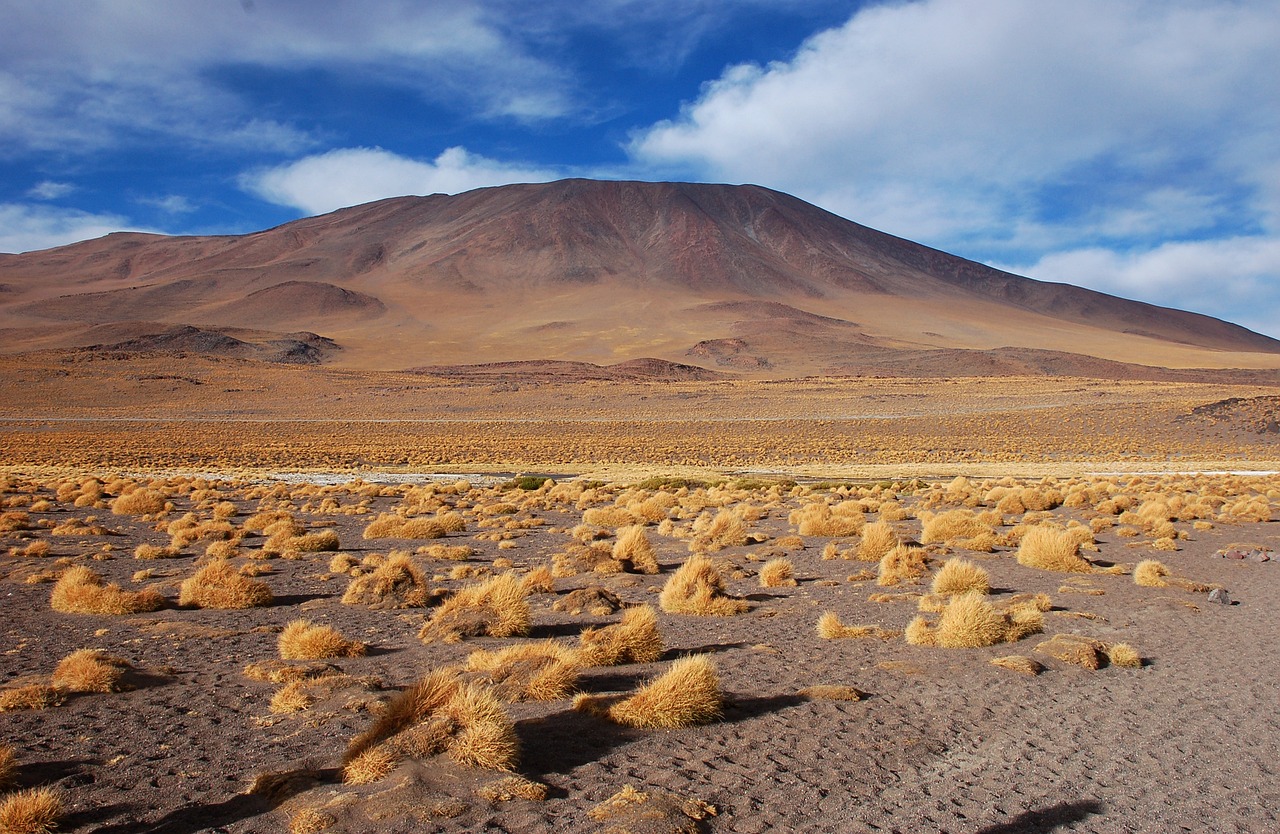 The Untouched Landscapes of Bolivia’s Sajama National Park